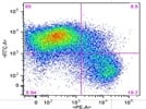 FITC anti-mouse F4/80 Antibody for macrophage staining