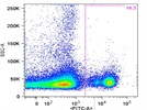 FITC anti-mouse CD8a Antibody for CD8 staining in mouse spleen