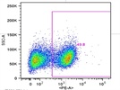 PE anti-mouse CD8a Antibody for CD8 staining