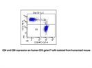 Very Good Anti-Human CD4 Antibody