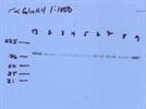 Great immunoblotting antibody