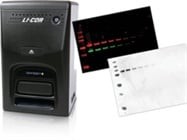 Western Blot Reproducibility