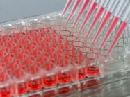  Fluorescence vs. Chemiluminescence