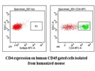 Great antibody for detecting human CD4 expression