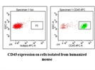 Very Good Anti-Human CD45 antibody