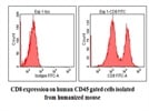 Very Good Anti-Human CD8 antibody