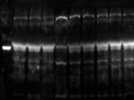 Poor Detection
