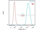 Superb CD166 antibody!