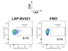 One of the few LAP antibodies that work