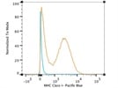 Anti-mouse H2kb (MHC I) Pacific Blue antibody