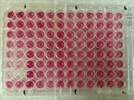 Ready to use kit for glucose