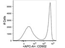 Just Great CD90.2 (Thy-1.2) Antibody