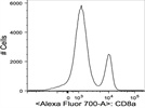 Dim fluorochrome but highly expressed marker