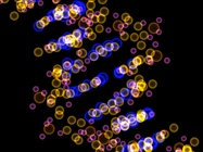  Viral Vectors