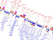  Microbiomics