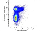 Good and Useful FOXP3 Antibody