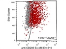 Recognition of cell-surface CD206 expression in peritoneal macrophages