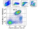 Great F4/80 Antibody