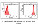 Good anti-Mouse CD45 antibody