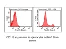 Good anti-mouse CD11b antibody