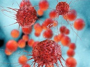  What Doesn’t Kill You … Testing for Chemical Toxicity