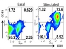 Expression of activation marker CD69 by flow cytometry