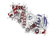  Cell Signaling: Sussing out the Kinases