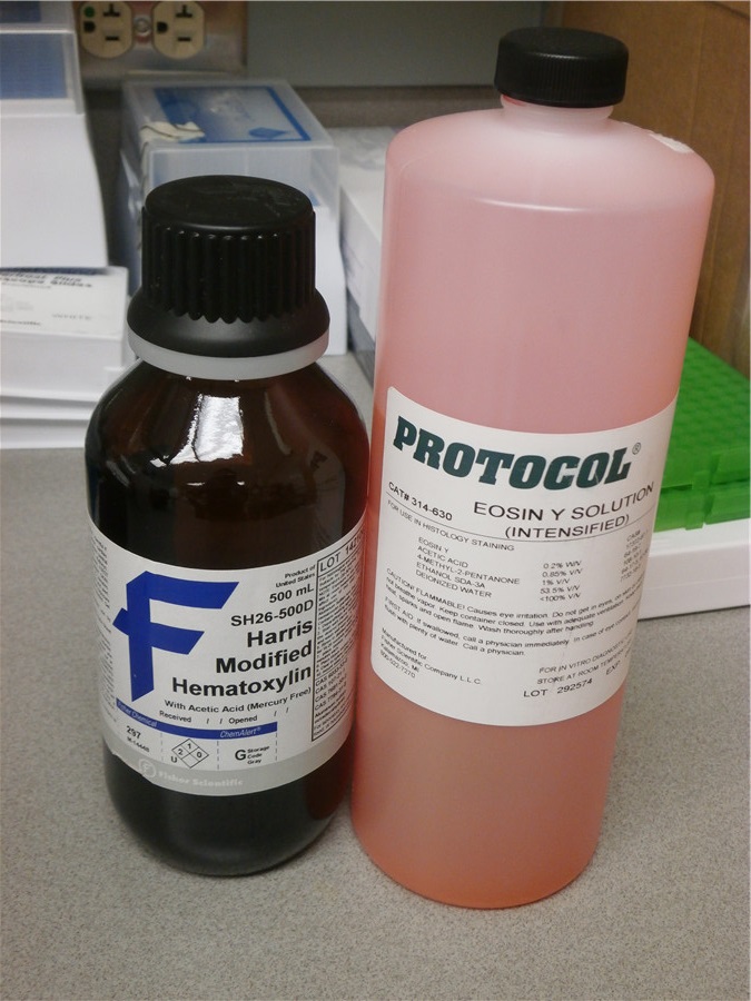 Extractables and Leachables Information Thermo Fisher