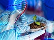  Planting a Seed for CRISPR/Cas9 Genome Editing