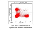 Great antibody for detecting mouse CD4 expression
