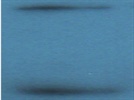 Anti-DHFR for Westerns and IPs