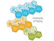 Discover the tools for researching gracefully… because your samples are not getting any younger!