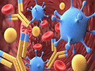  Engineering Better Antibodies