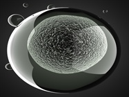  Stem Cell Tools: Aiding a Revolution
