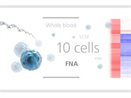 GeneChip® WT Pico Kit Whole Transcript Expression Analysis & Profiling Reagents