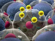  Proteomics Gets a Boost from Mass Spectrometry Advances