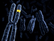 Molecular Cytogenetics: Arrays, NGS and Beyond