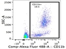 CD11b Antibody