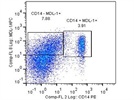 Excellent Intracellular Staining Antibody