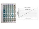Excellent Mouse IL-6 ELISA Detection Kit