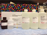 Electrophoretic Mobility Shift Assay (EMSA)
