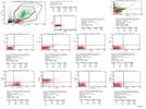 Canine Immunophenotyping