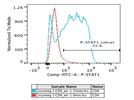 The Best FACS Antibody for Phospho-STAT1 (Tyr701)