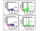 AF700 Anti Mouse CD3 in Flow Cytometry for Mouse Tissue