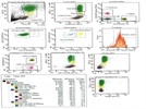 Brilliant Violet CD11b Antibodies