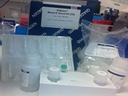 DNeasy Blood Tissue Kit