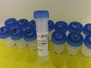 Excellent Custom Oligonucleotide Service