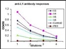 Detecting Mouse Serum IgG Antibody