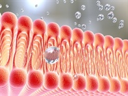 Powerful Tools for Characterizing the Lipidome