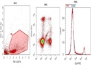 CD14 FITC Antibody Using Human PBMCs